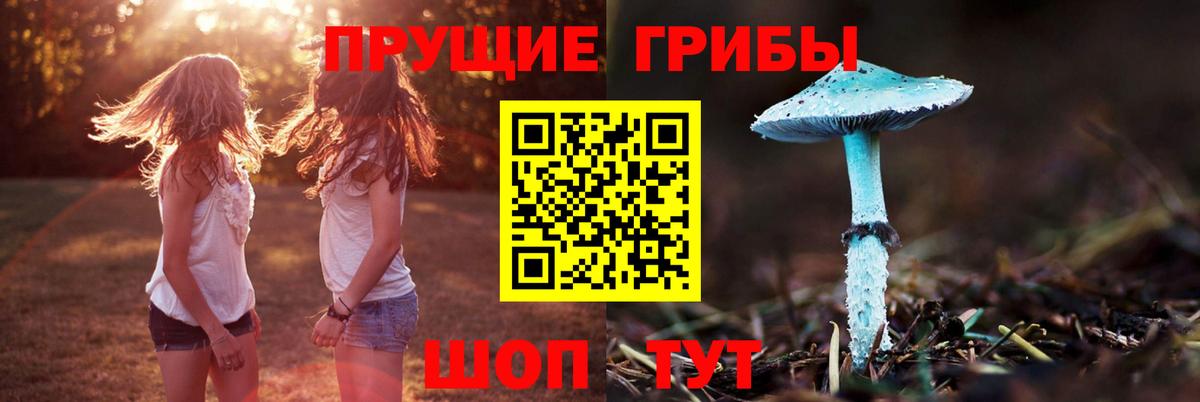 Галлюциногенные грибы Magic Shrooms  Галлюциногенные грибы MAGIC MUSHROOMS  Тында  Вход с VPN 