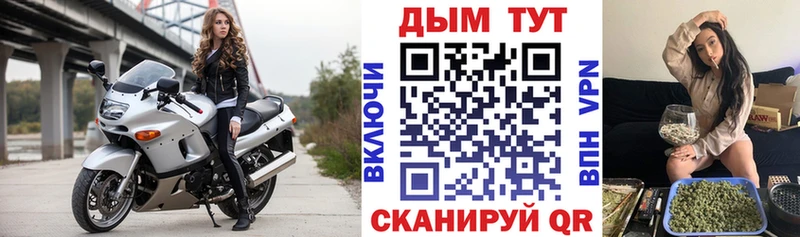 Канабис планчик Тында