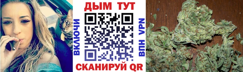 купить закладку  Тында  Бошки Шишки OG Kush 